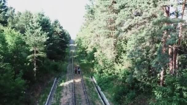 Dos mujeres están en el ferrocarril yendo hacia la distancia, rodeadas de árboles verdes. Las niñas caminan en el bosque — Vídeo de stock