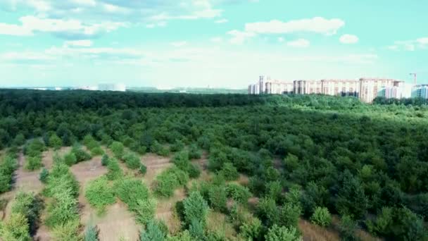 Public and privat garden, parks tree nursery. Splendid ornamental garden with blooming lush trees on a sunny day. — Stock Video