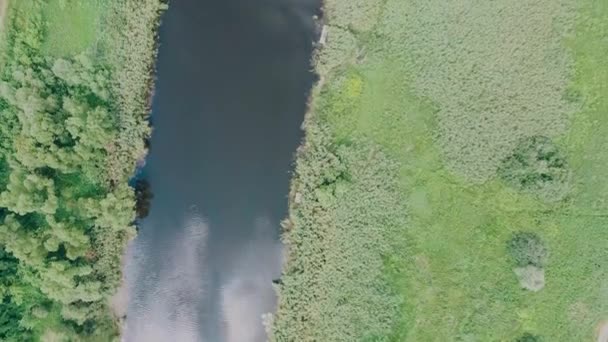 la rivière va au loin entourée d'arbres verts par temps clair 