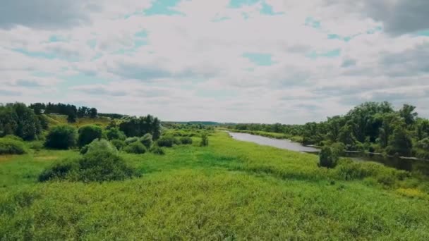 Rzeka płynie w oddali otoczona zielonymi drzewami w pogodny dzień — Wideo stockowe