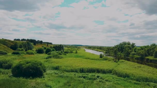 Floden går in i fjärran omgiven av gröna träd på en klar dag — Stockvideo