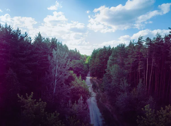 Smalle weg door groen bos. Smalle kronkelweg door groene struiken en bomen tegen bewolkte lucht op het platteland — Stockfoto