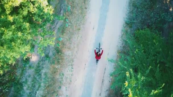 Chica montando en bicicleta rodeada de árboles verdes en un día despejado, vista superior. Mujer montando en bicicleta en el bosque — Vídeo de stock