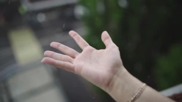 Close up van een vrouw die haar hand aanbrengend de regen druppels regen, water Concept vangen. — Stockvideo