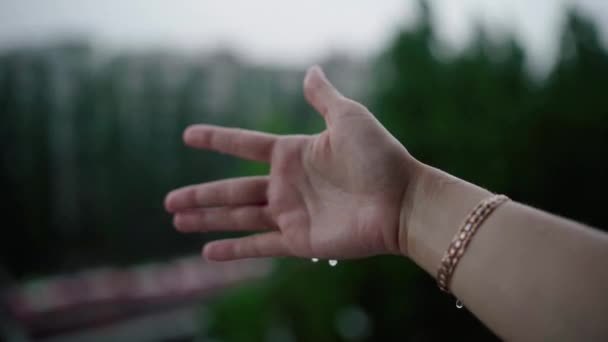 Close up van een vrouw die haar hand aanbrengend de regen druppels regen, water Concept vangen. — Stockvideo