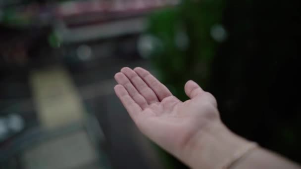 Nahaufnahme einer Frau, die ihre Hand in den Regen steckt und Regentropfen auffängt, Wasserkonzept. — Stockvideo