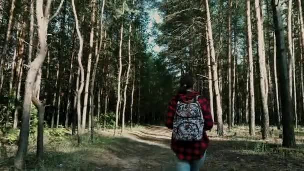 Mujer anónima caminando en el parque. Vista posterior de la joven hembra con mochila ornamental caminando por el camino en el tranquilo parque de otoño — Vídeos de Stock