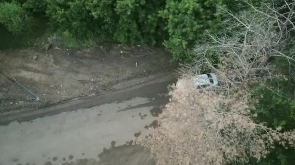 Een auto rijdt over een bosweg omringd door groene bomen — Stockvideo