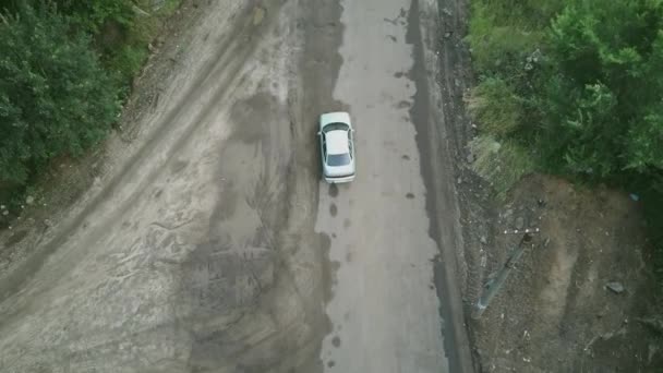 Um carro monta em uma estrada florestal cercada por árvores verdes — Vídeo de Stock