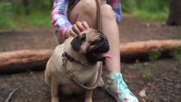 Flicka går med en hund ras mops i parken. Pug vilar i skogen — Stockvideo