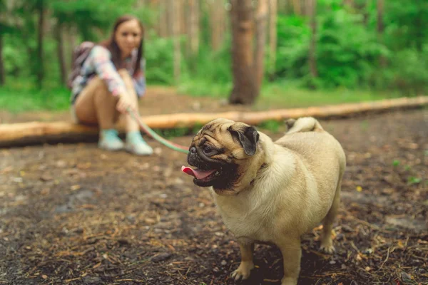 Dziewczyna spacerująca z psim mopsem w parku. Pug odpoczywa w lesie — Zdjęcie stockowe