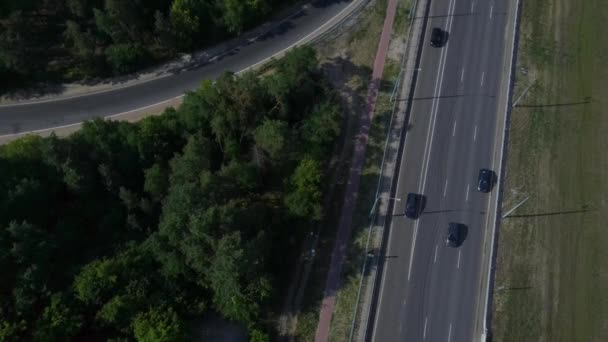 Los coches se desplazan por la carretera, rodeados de árboles verdes, en verano.. — Vídeo de stock