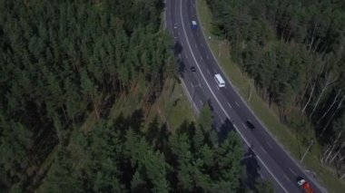 Yazın yeşil ağaçlarla çevrili arabalar yolda ilerliyor..