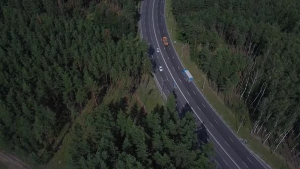 Flygfoto av bilar rör sig genom skogen på vägen på sommaren. — Stockvideo