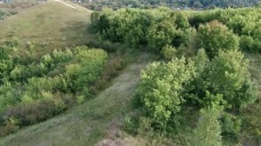 Yeşil koruluktan geçen dar bir yol. Yeşil çalıların ve ağaçların arasından geçen dar yol