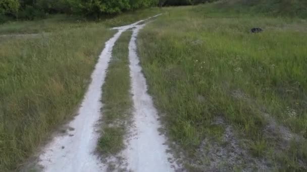 Yeşil koruluktan geçen dar bir yol. Yeşil çalıların ve ağaçların arasından geçen dar yol — Stok video