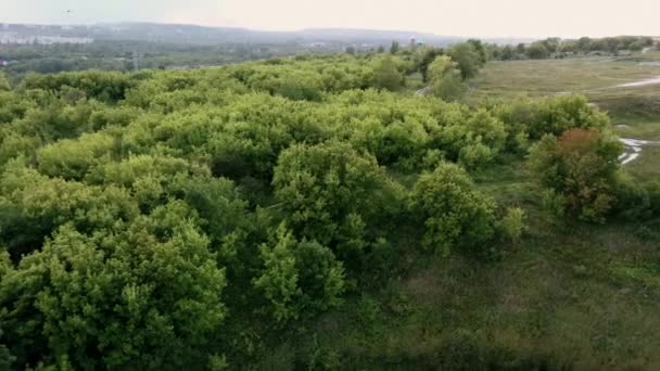 Schöne Frühlings- und Sommerlandschaft. Gebirgslandstraße zwischen grünen Hügeln. Saftig grüne Hügel, hohe Berge. Frühling blühendes Gras. Natürlicher Hintergrund des Sommers. — Stockvideo