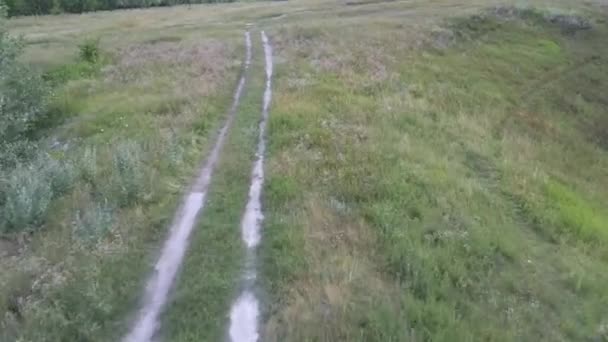 Un pittoresco paesaggio rurale con una strada al centro di un campo. — Video Stock