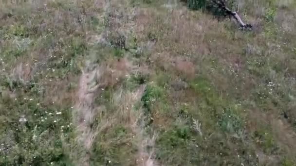 Un paisaje rural pintoresco con una carretera en medio de un campo.. — Vídeos de Stock