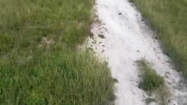 Un paisaje rural pintoresco con una carretera en medio de un campo.. — Vídeos de Stock