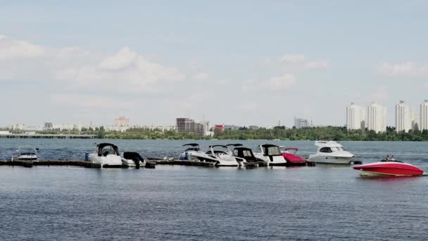 Vista Espectacular Coloridos Barcos Embarcadero Madera Una Zona Urbana — Vídeo de stock