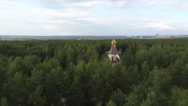 Krásná krajina starého kostela v lese. Letecký pohled na krásnou krajinu starobylého tradičního kostela s kopulemi a kříži obklopenými zelenými stromy — Stock video