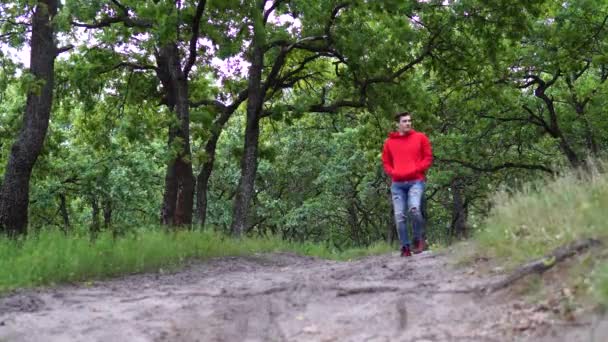 Egy névtelen férfi sétál a parkban. Visszapillantás fiatal férfi séta az úton a csendes őszi parkban — Stock videók