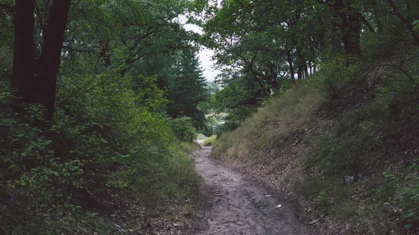 Smalle weg door groen bos. Smalle kronkelweg door groene struiken en bomen tegen bewolking — Stockfoto