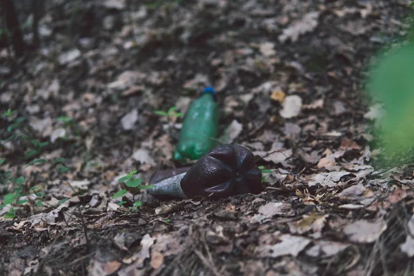 Мусор в парке или лесу, пустая бутылка, лежащая на земле. Концепция загрязнения окружающей среды, экологические проблемы природы . — стоковое фото