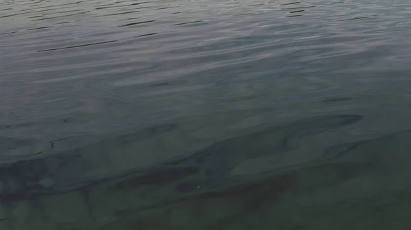 The texture of the water. Blue water in the lake with ripples on the surface. Water in rivers. Fresh autumn landscape. Fresh water texture. — Stock Photo, Image