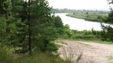 Güneşli bir günde yeşil ormanın arka planına karşı büyük bir göl.