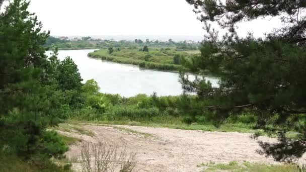 Velké Jezero Slunečný Den Pozadí Zeleného Lesa — Stock video