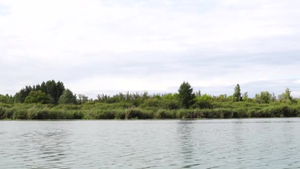 Grand Lac Par Une Journée Ensoleillée Sur Fond Forêt Verte — Video