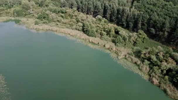 Grand lac par une journée ensoleillée sur fond de forêt verte