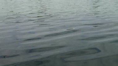 Suyun dokusunu. Gölde mavi su ve yüzeyinde dalgalar var. Nehirlerdeki su. Taze sonbahar manzarası. Tatlı su dokusu.
