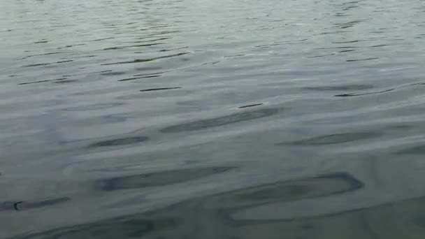 水の食感。水面に波紋を持つ湖の青い水。川の水だ。新鮮な秋の風景。新鮮な水の質感. — ストック動画