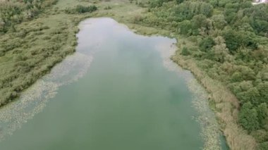 Yeşil kırsalda sakin bir gölet. Yeşil ormanın yakınındaki sakin sularla dolu inanılmaz bir gölden.