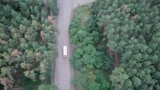 Estrada Floresta Pinheiros Vista Aérea — Vídeo de Stock