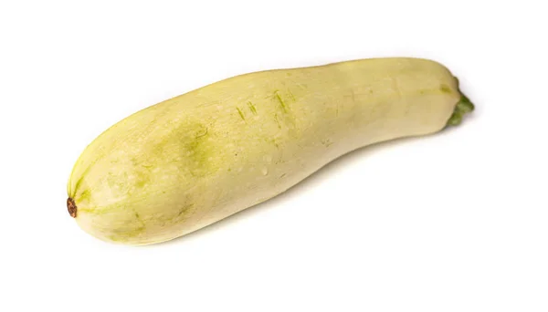 Grönsak, en squash eller zucchini isolerad på vit bakgrund. Begreppet jordbruk, hälsosam livsstil, sunda matvanor och kost. — Stockfoto
