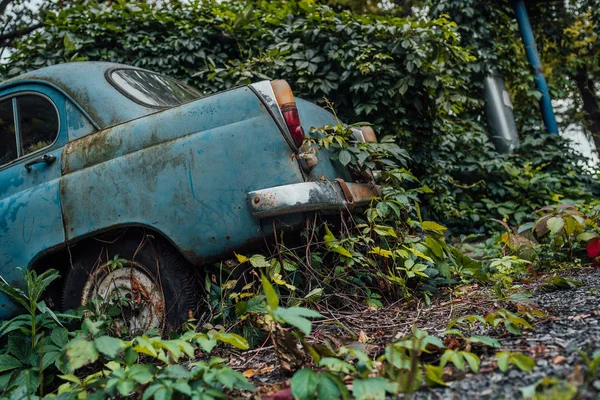 Stary porzucony samochód był porośnięty roślinnością. — Zdjęcie stockowe