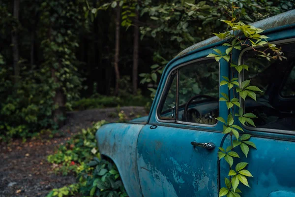 The old abandoned car was overgrown with vegetation — Stock Photo, Image