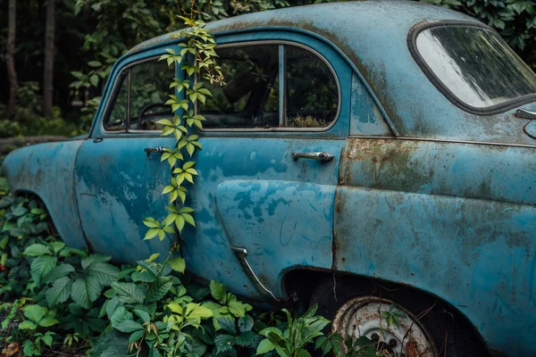 El viejo coche abandonado estaba cubierto de vegetación — Foto de Stock