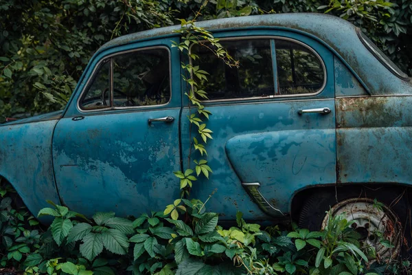 Den gamla övergivna bilen var överväxt med vegetation — Stockfoto