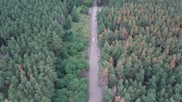 Aerial view of a country road in the forest with moving cars. Beautiful landscape. Captured from above with a drone. Aerial birds eye road with car. Aerial top view forest. Texture of forest view — Stock Video