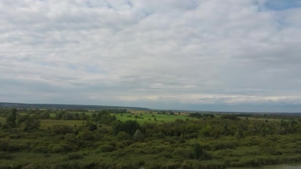 El campo verde en el fondo del cielo azul. el paisaje de Rusia. — Vídeo de stock