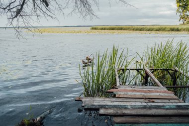 Açık bir yaz gününde, ormanın karşısında, önünde bir rıhtım olan göl.