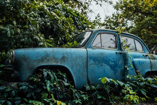 Das alte, verlassene Auto war mit Vegetation bewachsen — Stockfoto