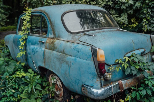 Den gamla övergivna bilen var överväxt med vegetation — Stockfoto