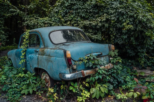 Стара покинута машина виросла з рослинністю — стокове фото