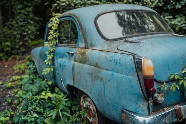 El viejo coche abandonado estaba cubierto de vegetación — Foto de Stock